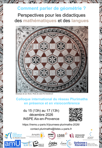 Colloque international du réseau Plurimaths